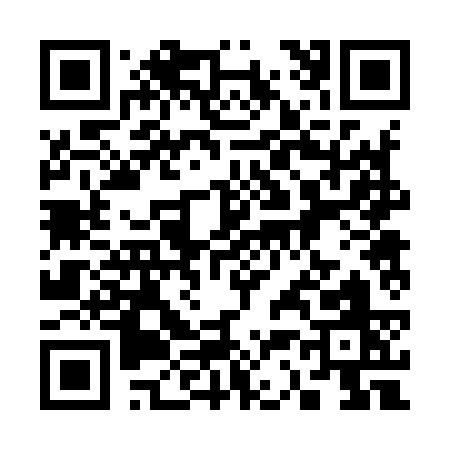 QR code for 33293
