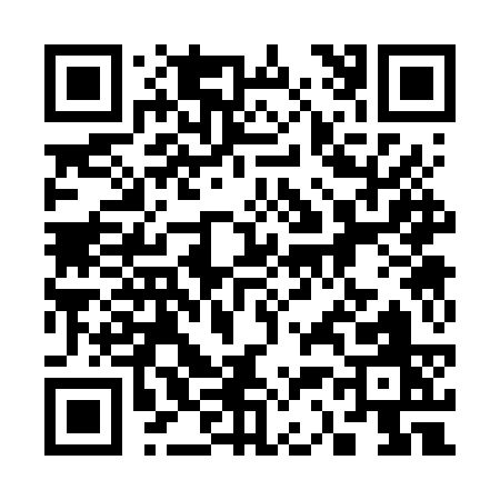 QR code for 3336S