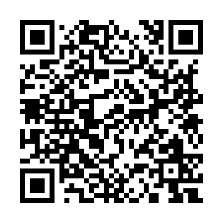 QR code for 33393