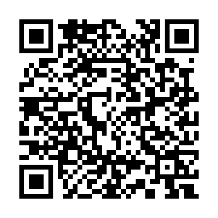 QR code for 333P