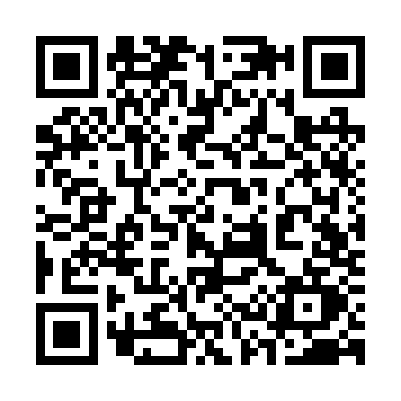 QR code for 333R