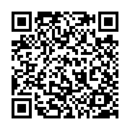 QR code for 333V