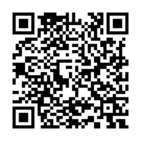 QR code for 333Y