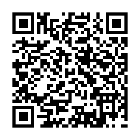 QR code for 33529