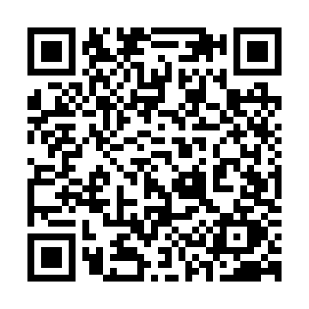 QR code for 335R