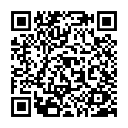 QR code for 336P