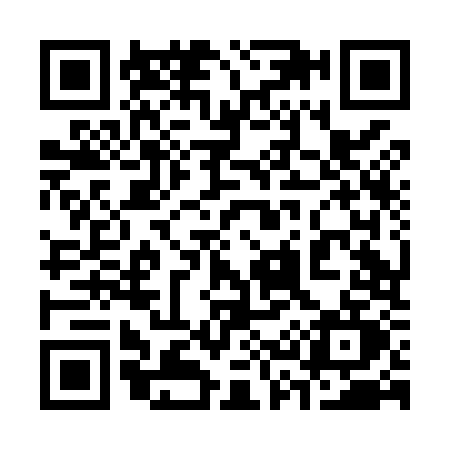 QR code for 338M