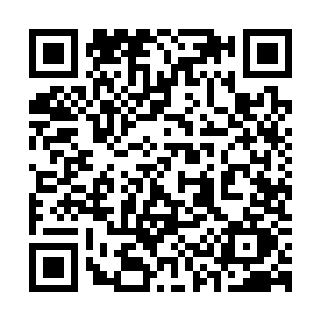 QR code for 3393