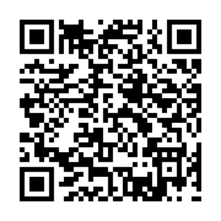 QR code for 3393K