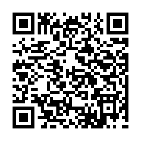 QR code for 3638S