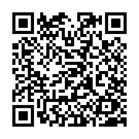 QR code for 3691
