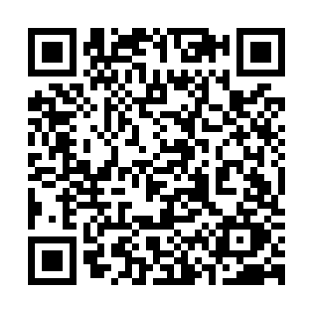QR code for 369O