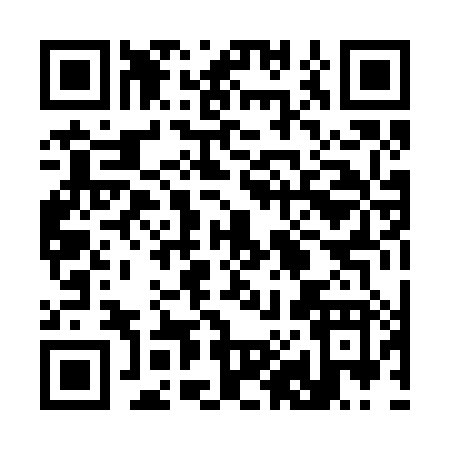 QR code for 38028