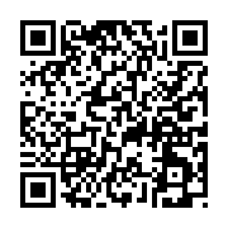 QR code for 38029