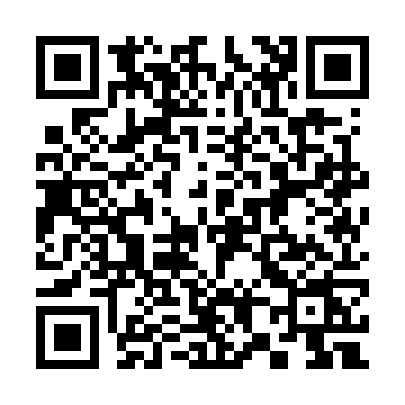QR code for 3817