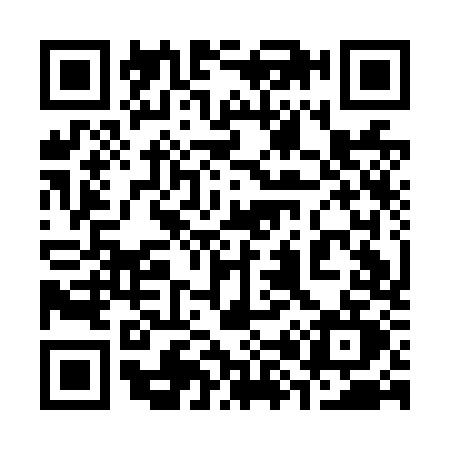 QR code for 381N