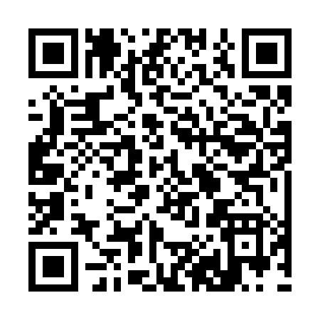 QR code for 38228