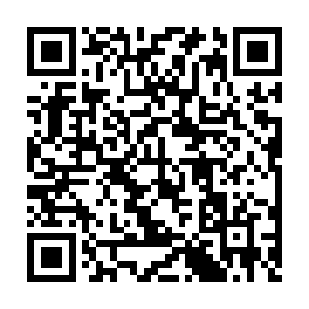 QR code for 3831Z