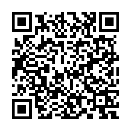QR code for 383N
