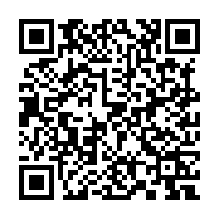 QR code for 383X
