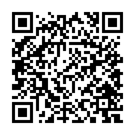 QR code for 3845T