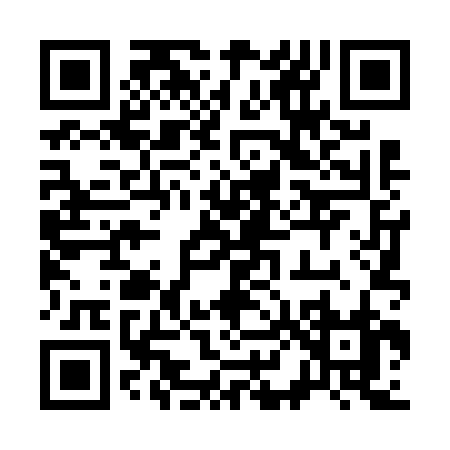 QR code for 38462