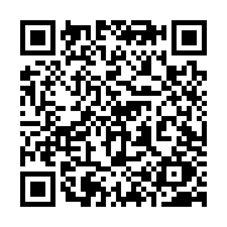 QR code for 384C