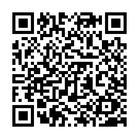 QR code for 384S