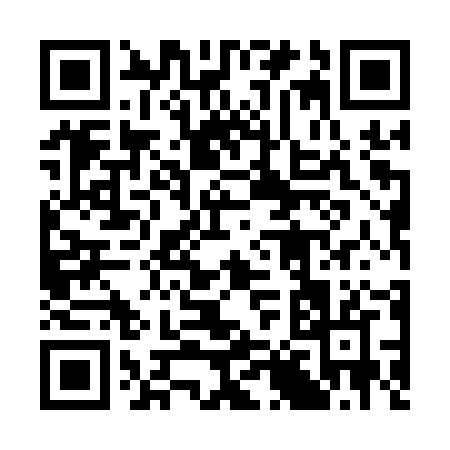 QR code for 3851Z