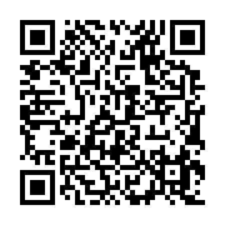 QR code for 38533