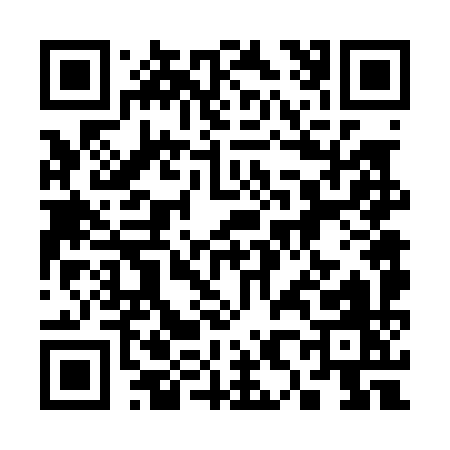 QR code for 38609