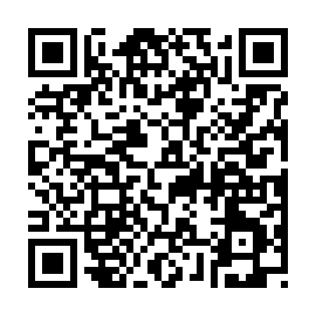 QR code for 38768