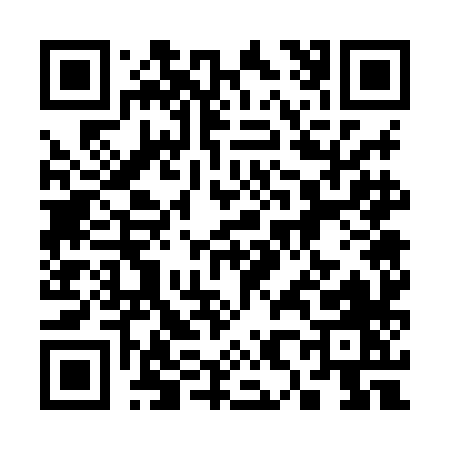 QR code for 3878H