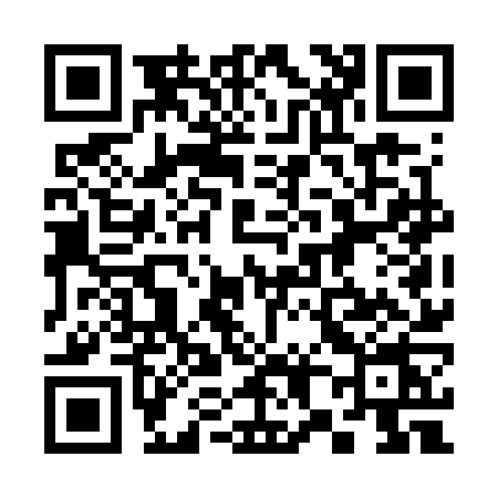 QR code for 387G