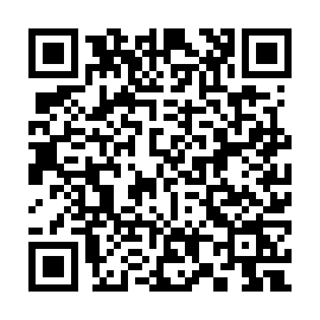 QR code for 387W