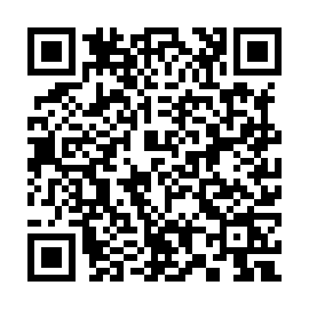 QR code for 387X