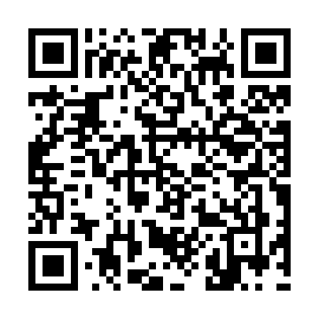 QR code for 387Z