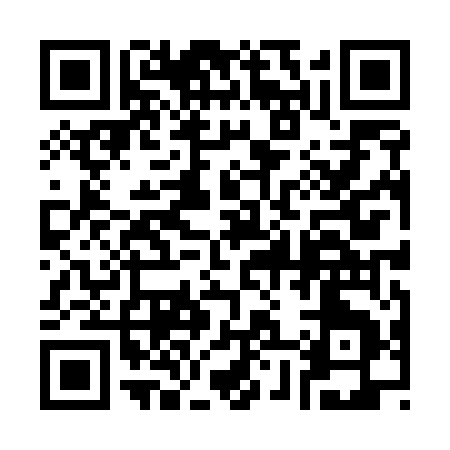 QR code for 38855
