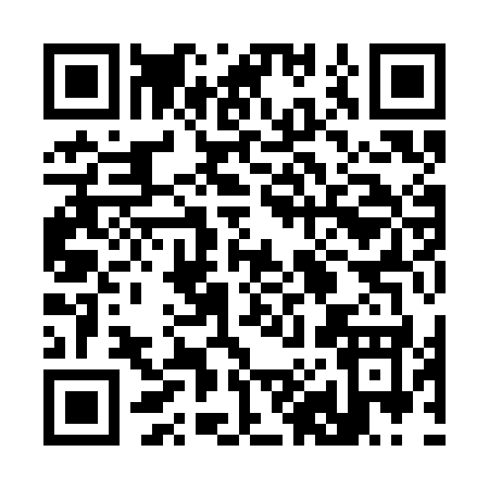 QR code for 3893K