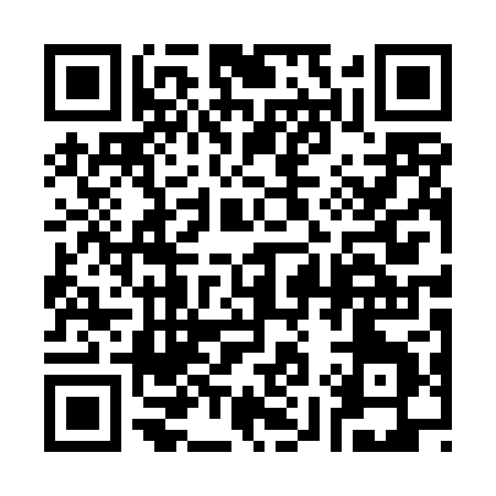QR code for 3904P