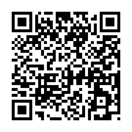 QR code for 3935I