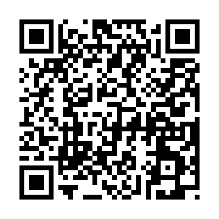 QR code for 3935X