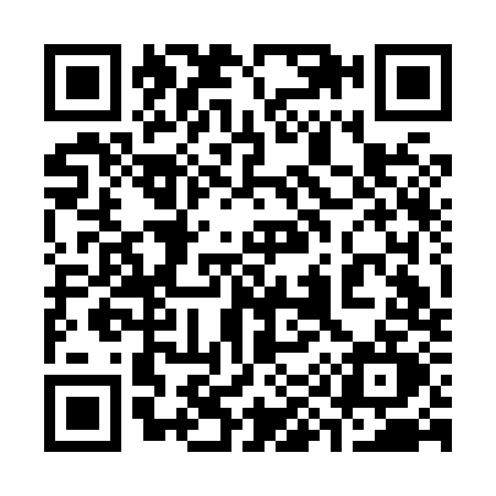 QR code for 393H