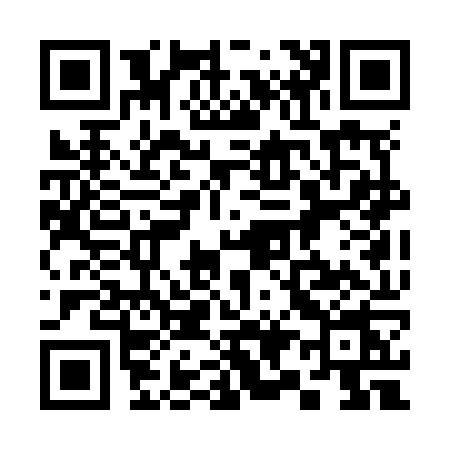 QR code for 393N