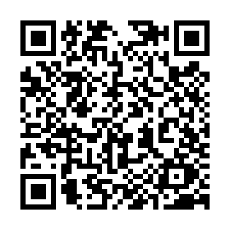 QR code for 393T
