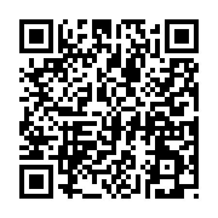QR code for 3979X
