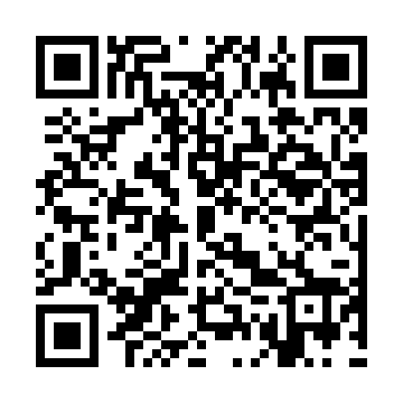 QR code for 3GS228