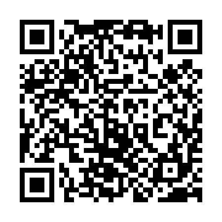 QR code for 3IA494