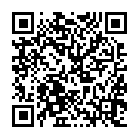 QR code for 3IF294