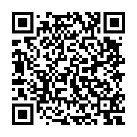 QR code for 3II411